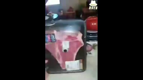 Magnets on Meat
