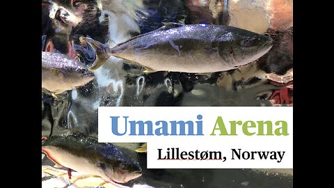 Umami Arena Food Fair, Norway (SMAK MESSE 2020) - FOOD, DRINK & PEOPLE (HORECA)