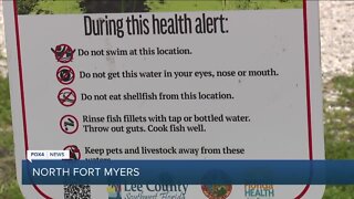 Lee County Department of health find Blue-Green Algae in the Caloosahatchee