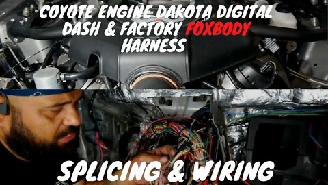 Coyote swapped Foxbody!! Ford performance harness, Dakota Digital Dash Wire Harness to Fox Harness