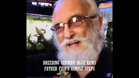 BREEDING GERMAN BLUE RAMS - FATHER FISH'S SIMPLE METHOD