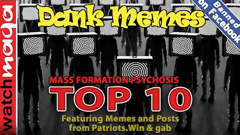 TOP 10 MEMES: Mass Formation Psychosis