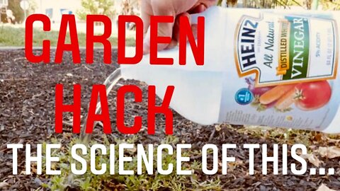USING VINEGAR IN THE GARDEN? DOES THIS GARDEN HACK ACTUALLY WORK? | Gardening in Canada