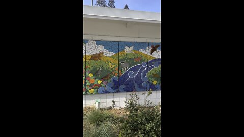 Wildlife Mural
