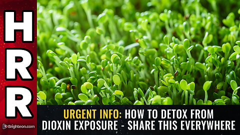 URGENT INFO: How to DETOX from DIOXIN exposure - share this everywhere
