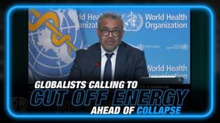 See The Globalists Calling to Cut Off Energy Ahead Of Collapse