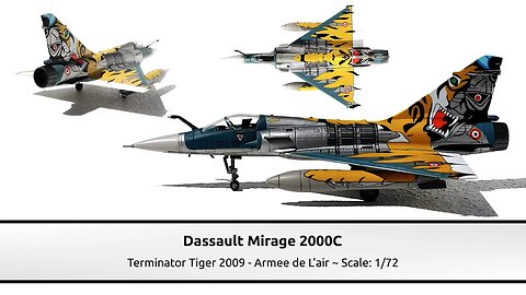 Dassault Mirage 2000C Terminator Tiger 2009 - Armee de L'air ~ Tigermeet