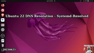 Ubuntu 22.04 DNS Resolution Systemd-Resolved