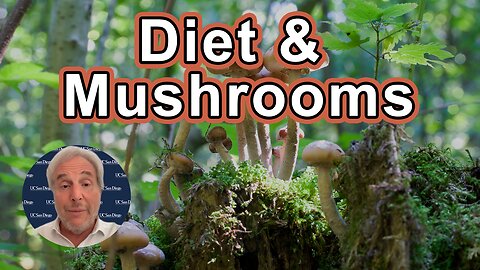 Diet & Mushrooms Meet Cancer & Covid