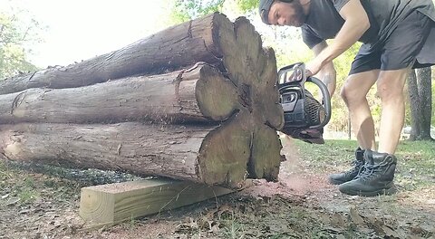 Lumberjack tree drag.