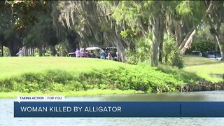 Alligator attack ruled as cause of death for elderly Sarasota County woman