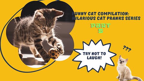 Funny Cat Compilation: Hilarious Cat Pranks Series - Part 5