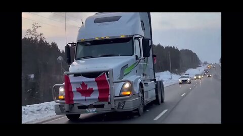 TRUCKERS FOR FREEDOM CANADA We're Not Gonna Take It!