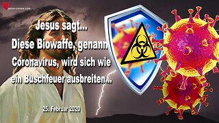 25. Februar 2020 🇩🇪 JESUS SAGT... Diese Biowaffe, genannt Coronavirus, wird sich wie ein Buschfeuer ausbreiten