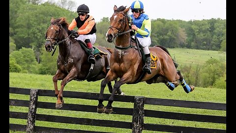 Horse Training for the Race