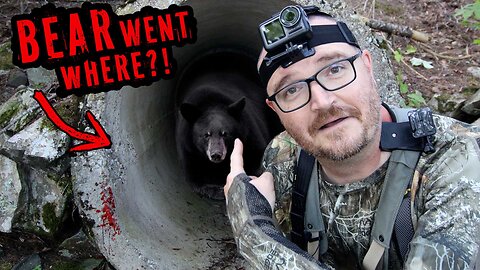 Risky Bear Recovery! This Is Not Good!