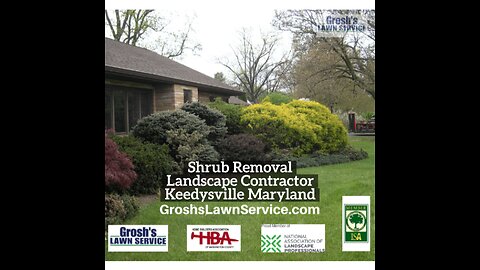 Shrub Removal Keedysville Maryland Landscape Contractor
