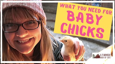 5 Things You Need to Raise Baby Chicks | A Farmish Kind of Life