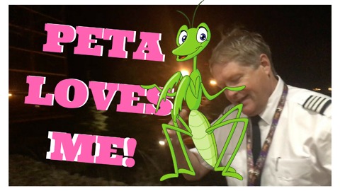 (PETA) Loves Me! Southwest Captain Saves Grasshopper found on the plane!