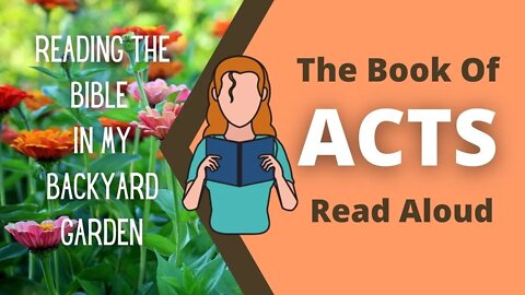 ACTS - Full Book | NRSV Bible - Read Aloud | Searchable by Chapter and Verse