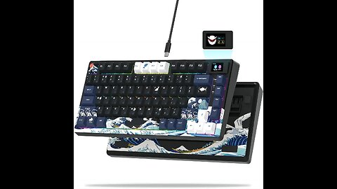 Womier S-K80 Gamer Keyboard with Color OLED Display Mechanical Gaming Keyboard