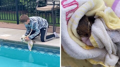 Kid saves chipmunk from drowning in the pool!