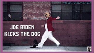 Joe Biden Kicks The Dog and The American People