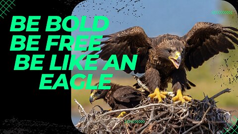 Soar to Greatness: The Eagle's Motivational Flight