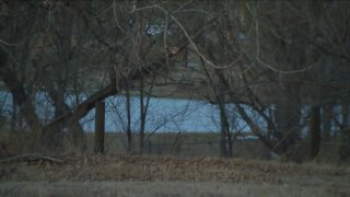 Father and son rescued from icy water along Cherry Creek Trail