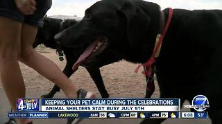 Preparing your pet for the July 4th celebrations