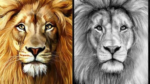 Realistic Lion Portrait Acrylic Painting