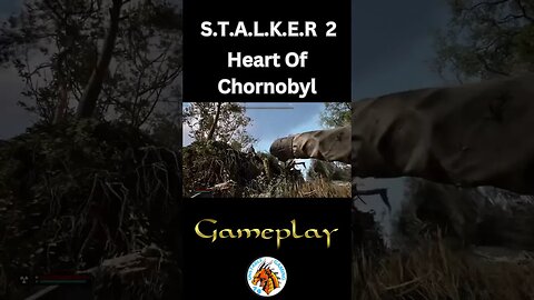 S.T.A.L.K.E.R. 2: Heart of Chornobyl #shorts