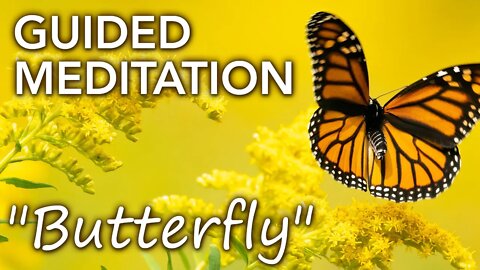 Butterfly meditation - relax with this sweet guided visualisation