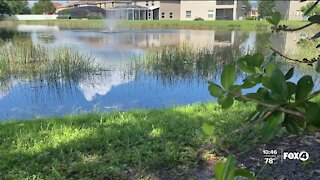 Grant money for local pond improvement