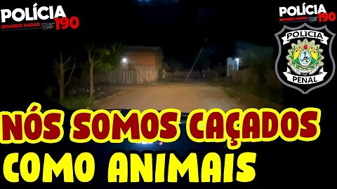 SOMOS CAÇADOS COMO ANIMAIS | POLÍCIA PENAL | POLÍCIA 190