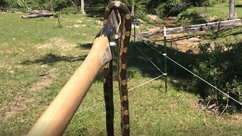Fencing, NEW ANIMALS, Creek Fun and SNAKE! - The Mac's
