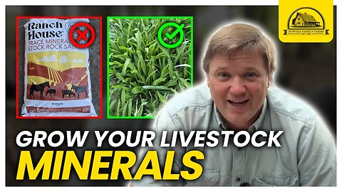 Grow More of Your Own Livestock Minerals: 4 Plants to Include in Pastures