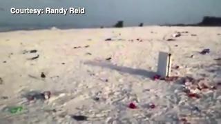 Sarasota County: Pick up your trash on beaches | Digital Short