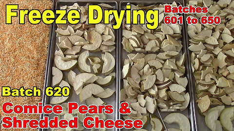 Batch 620 - Freeze Drying Comice Pears and Shredded Cheese