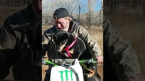 Ridin' with my Dog on a 01 KX250 2 Stroke Dirt Bike - short