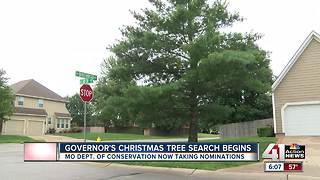 Missouri governor on the hunt for a Christmas tree