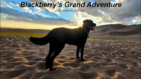 Blackberry's Grand Adventure