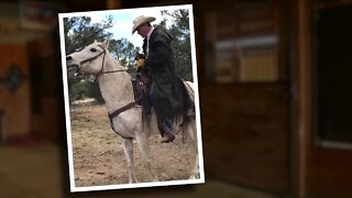 Horse killed in Elbert County 'execution style,' owner says; sheriff's office looking for suspect