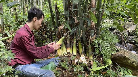 Harvesting Bamboo Shoots, There Are Lots of Bamboo Shoots