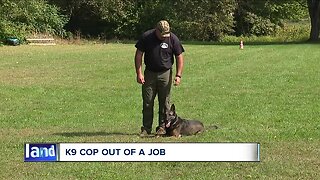 Confusion over cannabis, Lake County K9 forced into retirement