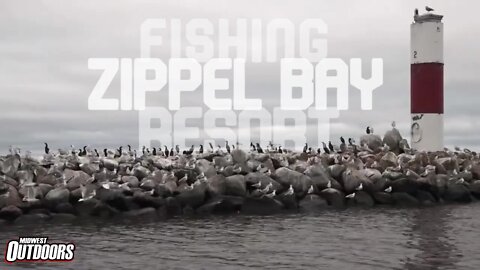 Walleye Fishing Zippel Bay Resort