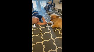 Cute Baby Trying to Talk to his Pomeranian Puppy