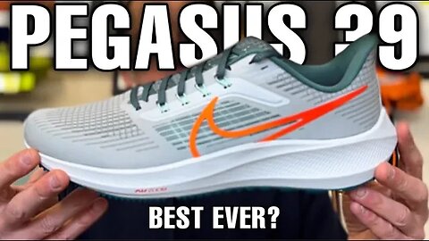 Nike Pegasus 39 Review