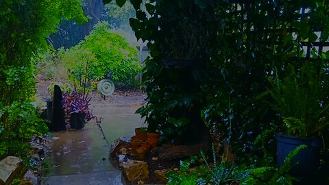 Australian Country Garden - HEAVY Rain with distant thunder.