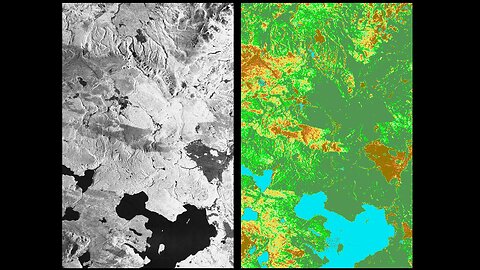 Counting Giants from Space: NASA and Forest Service Join Forces to Catalog America's Ancient Trees 🌳